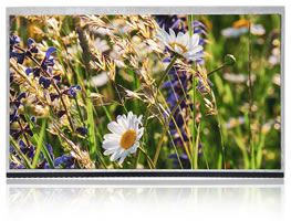 11.6 inch 500cd/m2 1920*1080 EDP 30PIN液晶模組