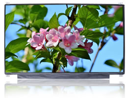 13.3 inch 1920*1080 EDP 30PIN 250cd/m2液晶模組