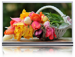 13.3 inch 500cd/m2 1920*1080 EDP 30PIN液晶模組